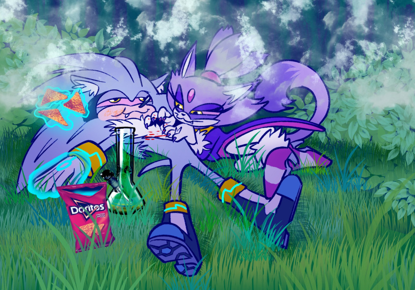 1boy :i blaze_the_cat blood bloodshot_eyes bong boots cat_tail commentary doritos drugged eating english_commentary fang_out female furry furry_female furry_male geodedog gloves high_heels highres lying oerba_yun_fang on_back on_grass outdoors scratching scratching_chest silver_the_hedgehog smile smoke sonic_(series) stoned tail telekinesis white_gloves yellow_eyes