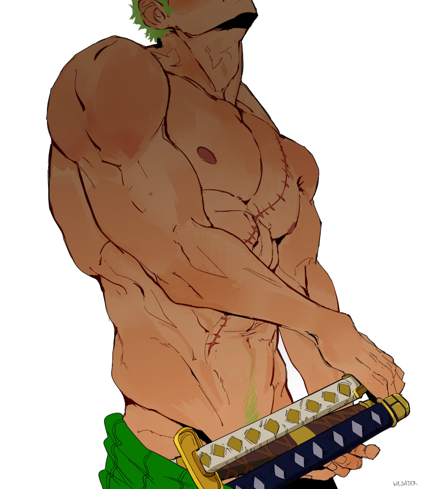 1boy abs absurdres adam's_apple arm_up bara bare_shoulders biceps commentary cropped_head english_commentary green_hair green_pubic_hair groin haramaki highres katana male_focus male_pubic_hair multiple_swords muscular muscular_male navel nipples one_piece pectorals pubic_hair roronoa_zoro scar scar_on_chest short_hair simple_background solo sword topless_male weapon wesaier white_background