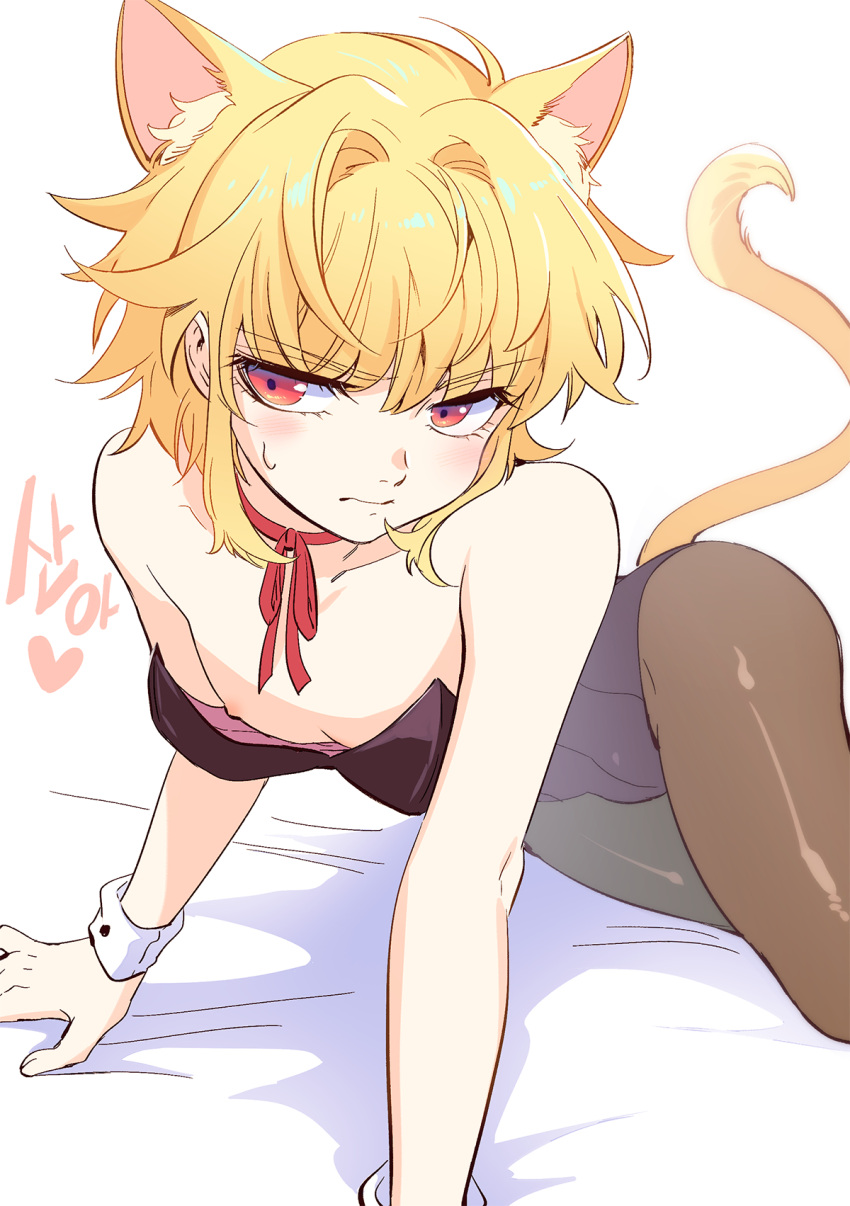 1boy animal_ear_fluff animal_ears bae_(baebae) blonde_hair blush bulge cat_boy cat_ears cat_tail choker crossdressing extra_ears highres jeong_sana korean_commentary leotard male_focus nipples otoko_no_ko red_eyes ribbon_choker suicide_boy sweatdrop tail wrist_cuffs