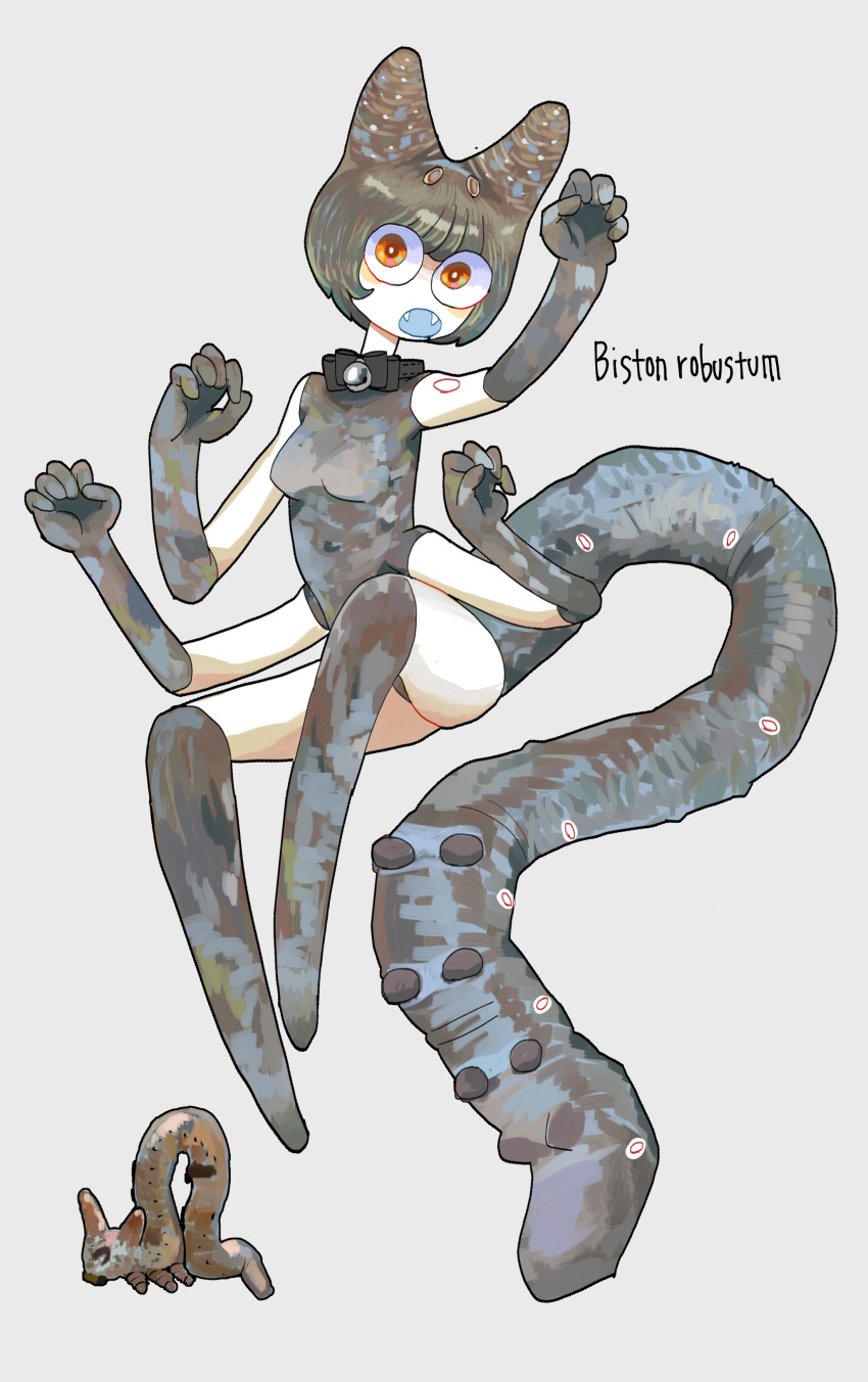 absurdres arthropod_girl bug commentary_request extra_arms fangs female full_body grey_background grey_hair grey_leotard highres larva leotard looking_at_viewer monster_girl nicoq_(koikoihaihai) orange_eyes original personification short_hair simple_background solo tail