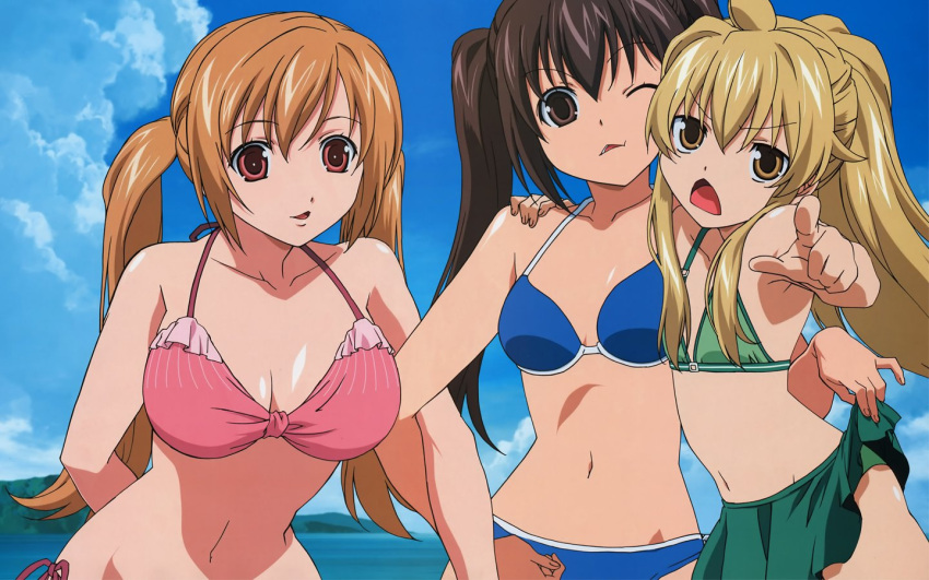 ahoge bikini breasts large_breasts minami-ke minami_chiaki minami_haruka minami_kana mizugi pettanko sisters tagme twintails