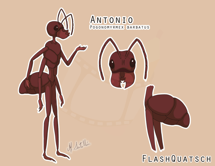 4_arms ant antennae_(anatomy) anthro antonio_(flashquatsch) arthropod arthropod_abdomen flashquatsch hymenopteran insects male mandibles model_sheet multi_arm multi_limb scientific_name simple_background solo