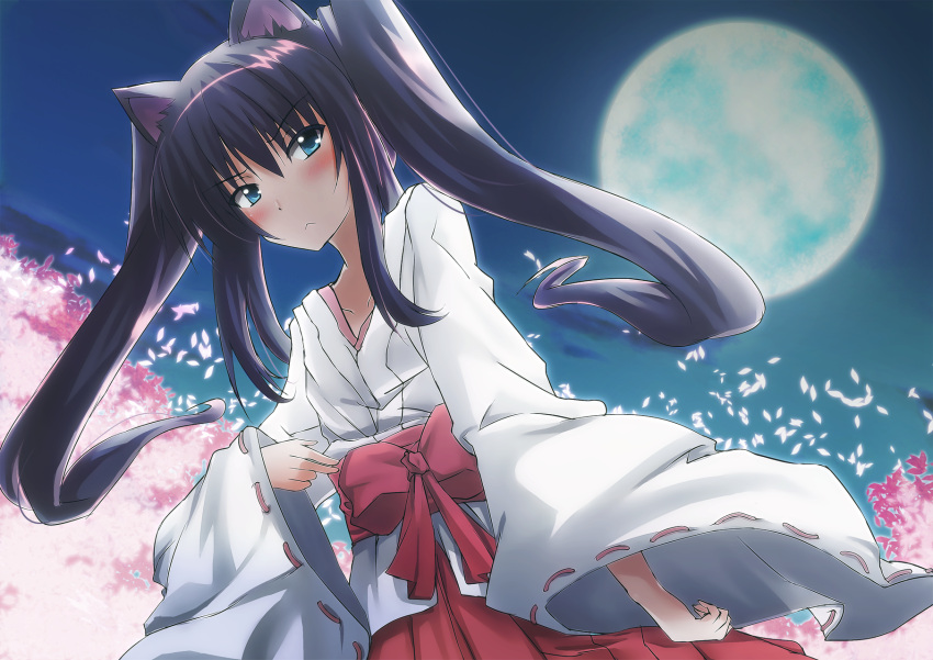 animal_ears bad_id bad_pixiv_id black_hair blue_eyes blush cat_ears cherry_blossoms collarbone dutch_angle female full_moon highres icyfox japanese_clothes long_hair long_sleeves miko moon night night_sky original sky solo standing tsurime twintails