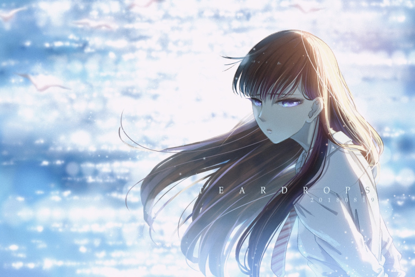 bird black_hair blurry blurry_background dated female koi_wa_ameagari_no_you_ni long_hair necktie ocean outdoors purple_eyes shirt solo tachibana_akira teardrops_(user_vgvd7733) upper_body white_shirt