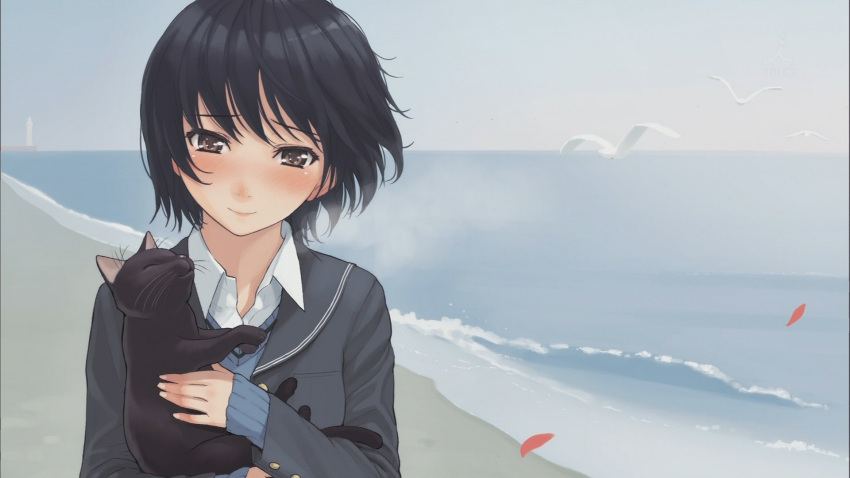 amagami beach black_cat black_hair blazer blush brown_eyes feline homunculus_(artist) horizon lighthouse looking_at_viewer nanasaki_ai neko ocean school_uniform seagull sweater