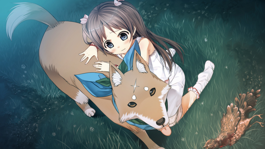 animal brown_hair cura game_cg monobeno sawai_natsuha