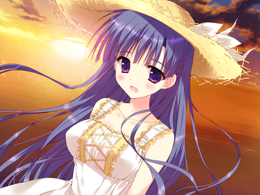 blush breasts dress female game_cg hat hoshizora_e_kakaru_hashi hoshizora_e_kakaru_hashi_aa koumoto_madoka long_hair outdoors purple_eyes purple_hair ryohka ryouka_(suzuya) sky solo sunset water