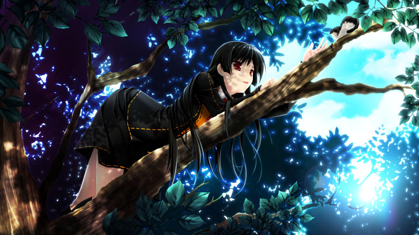 black_hair cloud feline female game_cg highres ichinose_yua leaf makita_maki non-web_source red_eyes rescue school_uniform shinigami_no_testament sky solo tree