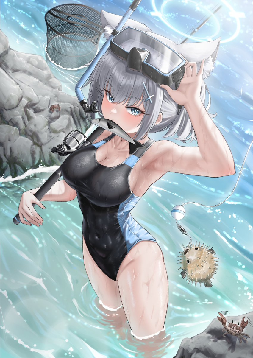 absurdres adult_aongly animal animal_ear_fluff animal_ears arm_up armpits bare_shoulders black_one-piece_swimsuit blue_archive blue_eyes blush breasts competition_swimsuit covered_navel crab cross_hair_ornament day diving_mask diving_mask_on_head extra_ears female fish fish_in_mouth food_in_mouth goggles goggles_on_head grey_hair hair_ornament halo highres holding holding_animal holding_fish looking_at_viewer medium_breasts medium_hair mouth_hold multicolored_clothes multicolored_swimsuit official_alternate_costume one-piece_swimsuit puffer_fish shiroko_(blue_archive) shiroko_(swimsuit)_(blue_archive) snorkel solo standing swimsuit thighs wading water wet wolf_ears