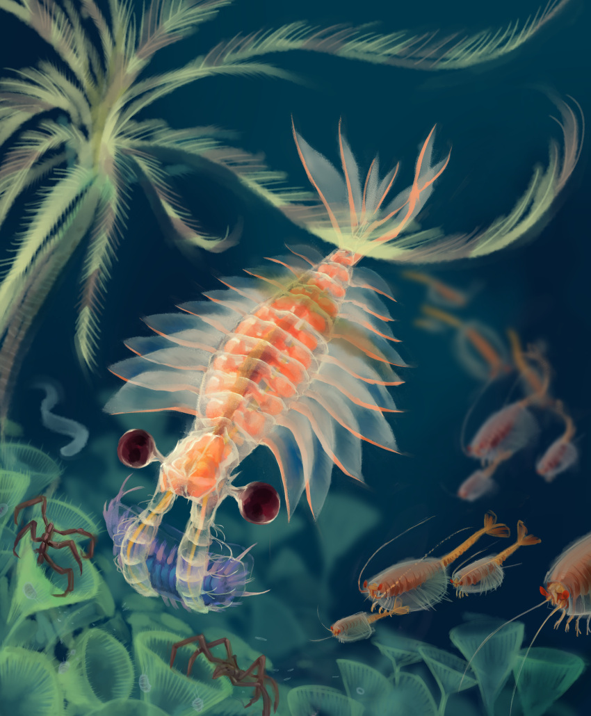 2020 absurd_res ambiguous_gender anomalocarid anomalocaris arthropod bedupolker big_eyes black_eyes brown_body caught crinoid crustacean detailed_background duo_focus echinoderm feral fin group hi_res holding_character larger_feral marine orange_body predator/prey purple_body sea_spider shrimp size_difference smaller_feral swimming tail tail_fin translucent translucent_body trilobite underwater wapita water