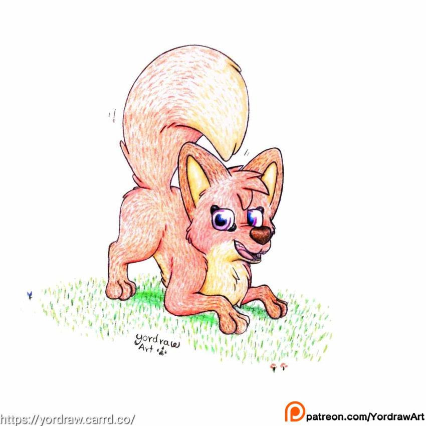 3_toes ass ass_up brown_ears brown_paws canid canine feet female feral flower fox fur grass hi_res jungledyret_hugo looking_at_viewer mammal patreon patreon_logo patreon_username plant presenting presenting_hindquarters purple_eyes raised_tail red_body red_fox red_fur rita_(jungledyret) smile smiling_at_viewer solo spread_legs spreading tail tail_motion tailwag text toes tongue traditional_media_(artwork) true_fox url yordraw