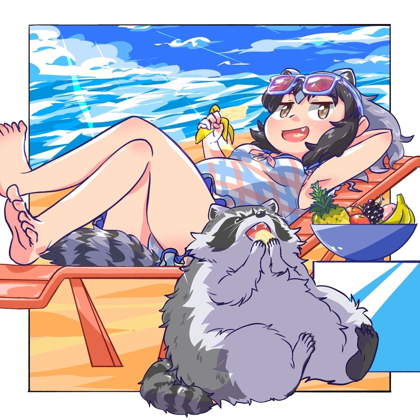 1:1 2021 animal_humanoid arai-san beach clothing duo eating eyewear eyewear_on_head female feral food fruit fur grey_body grey_fur hi_res humanoid humanoid_hands kemono_friends mammal mammal_humanoid outside plant procyonid procyonid_humanoid raccoon raccoon_humanoid seaside sitting sunglasses sunglasses_on_head swimwear umikazenet3 water