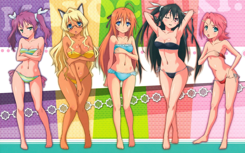 animal_ears bikini konoe_subaru mayo_chiki! narumi_nakuru sakamachi_kureha suzutsuki_kanade swimsuit usami_masamune