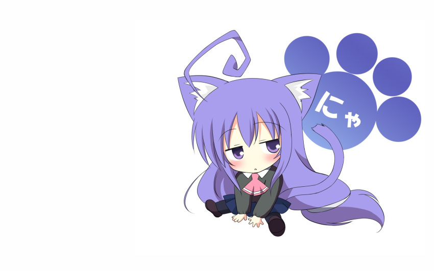 acchi_kocchi catgirl miniwa_tsumiki purple_eyes purple_hair