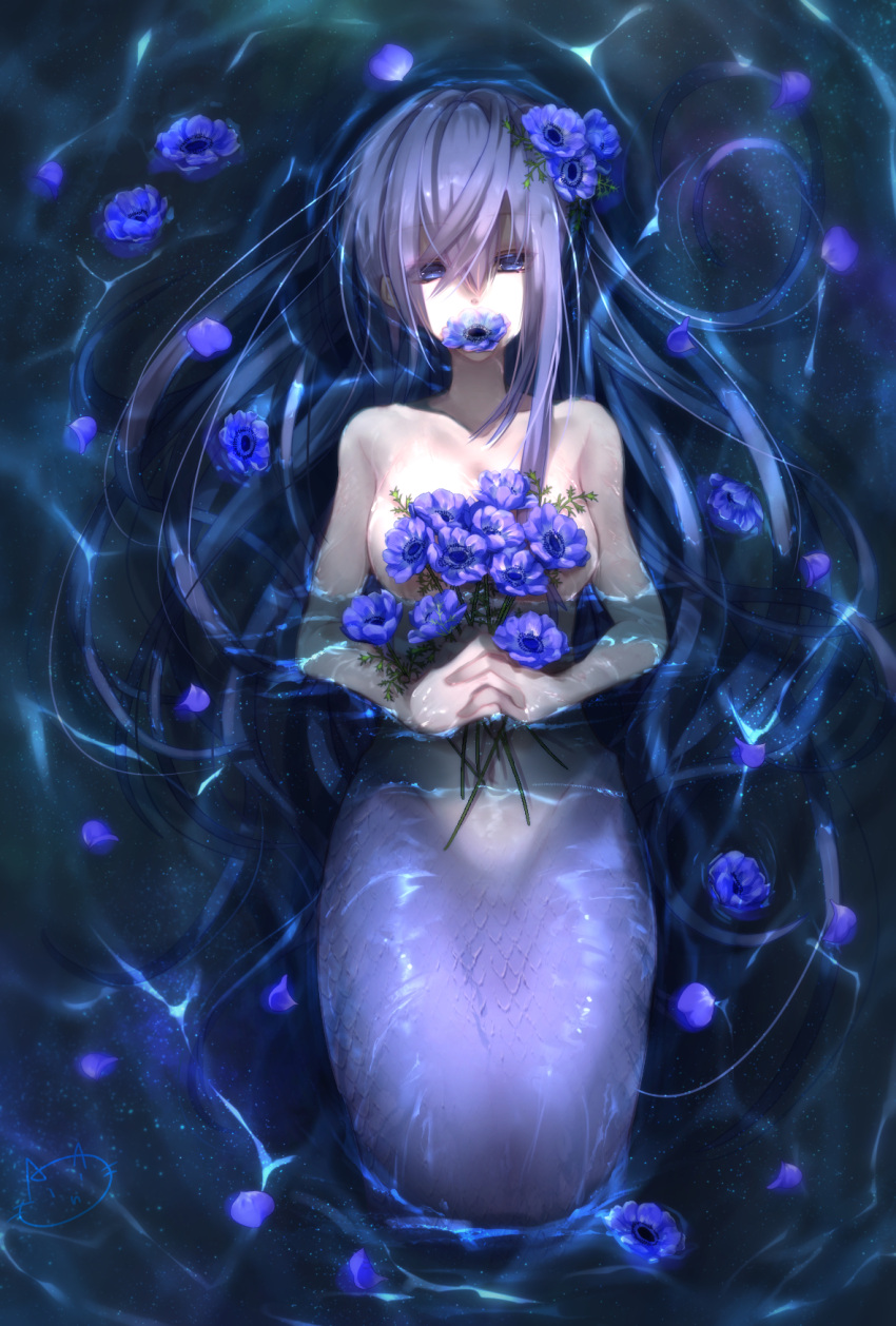 blue_eyes blue_flower blue_hair dark_blue_hair female flower flower_on_chest flower_on_mouth hair_flower hair_ornament hand_fold highres holding holding_flower kneeless_mermaid looking_at_viewer lying_on_water mermaid monster_girl original ripples solo souna water watermark