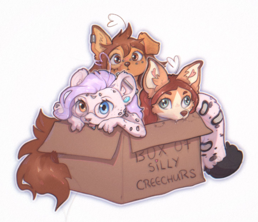 2024 anthro apogee_(tinygaypirate) blep blue_eyes box brown_body brown_fur button_ears canid canine canis cardboard cardboard_box container cotton_(yshanii) derp_eyes digital_media_(artwork) dingo domestic_dog ear_piercing english_text felid floppy_ears fur group hair heterochromia hi_res looking_at_viewer mammal markings pantherine piercing rel_(relsarts) simple_background snow_leopard spots spotted_body spotted_fur text tongue tongue_out trio white_background white_body white_fur yellow_eyes yshanii