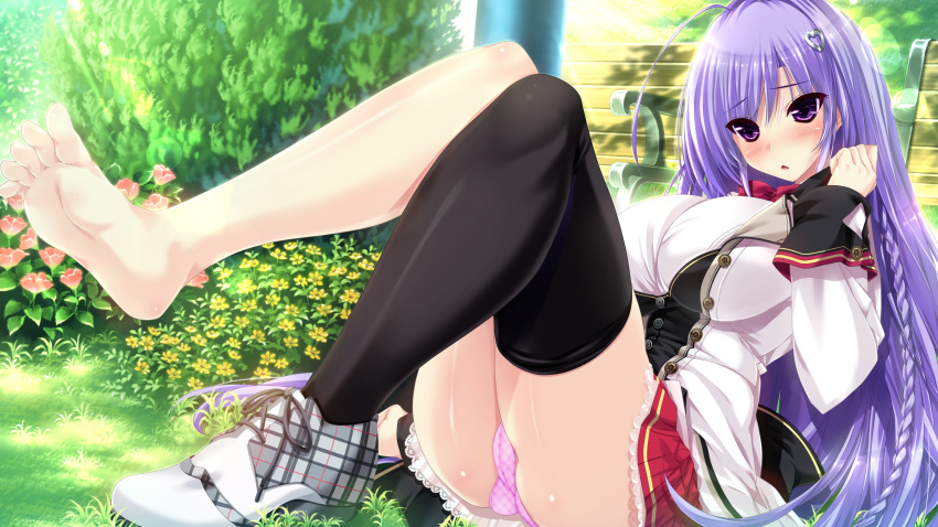 ahoge barefoot bench blush braid breasts bush eyebrows_visible_through_hair flower game_cg grass hair_ornament heart heart_hair_ornament highres kokorone=pendulum! large_breasts legs_up long_hair oshiki_hitoshi panties pink_panties purple_eyes purple_hair shiny shiny_skin shoes single_braid single_shoe single_thighhigh tatewaki_chihaya thighhighs underwear