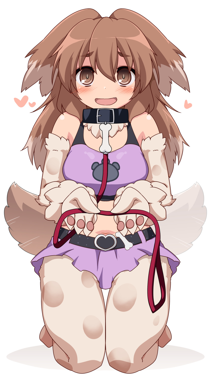 :d absurdres animal_collar animal_ears animal_hands archived_source bad_link bare_shoulders belt blush body_fur breasts brown_eyes brown_hair collar commission dog_ears dog_girl dog_tail female floppy_ears full_body hair_between_eyes happy heart highres holding holding_leash kasukenoura kneeling kobold_(monster_girl_encyclopedia) leash long_hair looking_at_viewer medium_breasts midriff miniskirt monster_girl monster_girl_encyclopedia multicolored_hair navel open_mouth pawpads purple_skirt purple_tank_top simple_background skirt smile solo tail tail_wagging tank_top thigh_gap white_background