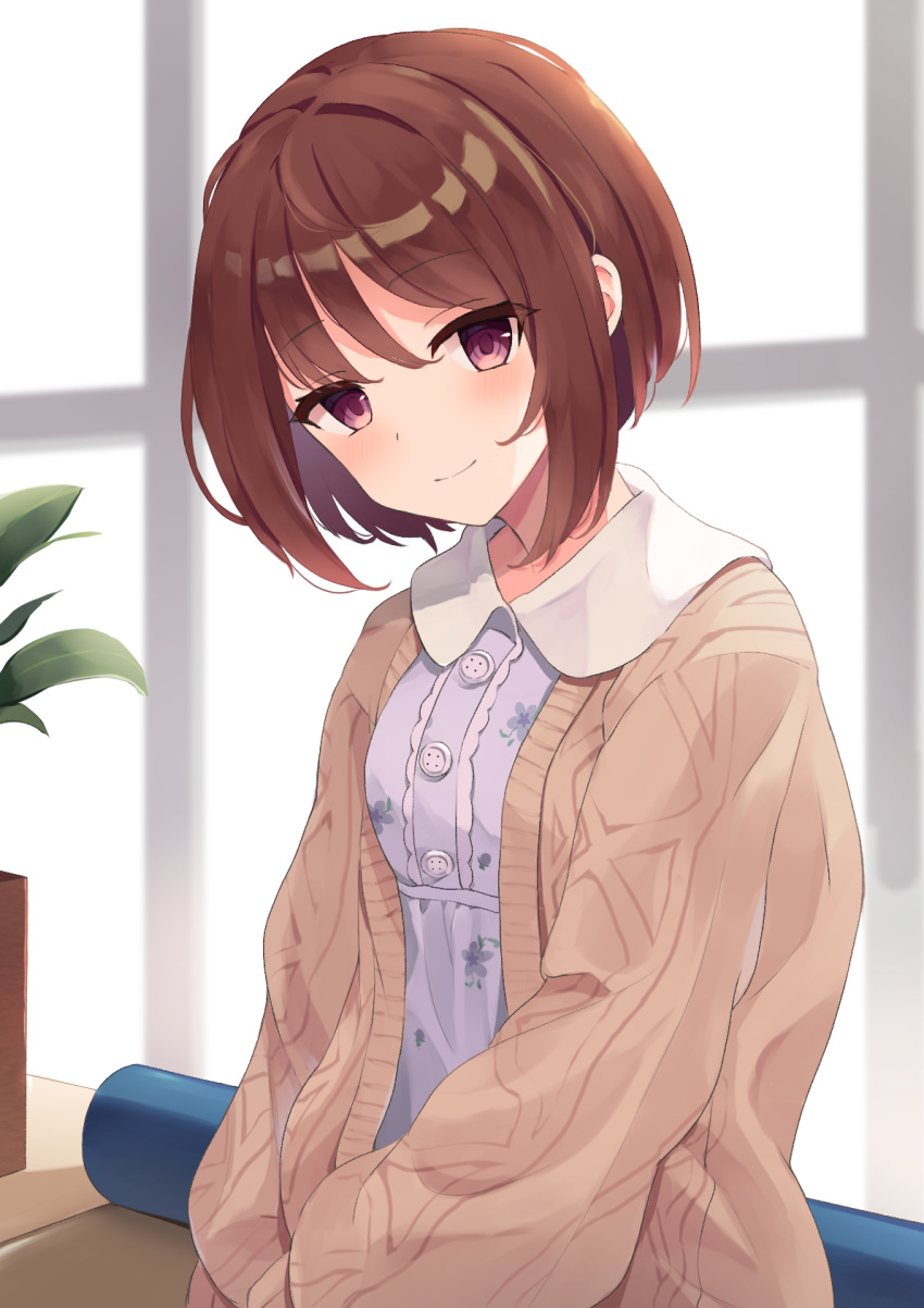 blush breasts brown_hair brown_jacket closed_mouth collared_dress commentary dress female floral_print hair_between_eyes highres jacket long_sleeves looking_at_viewer mizu_(lzzrwi603) open_clothes open_jacket plant princess_connect! print_dress puffy_long_sleeves puffy_sleeves purple_dress purple_hair shiori_(princess_connect!) shiori_(real)_(princess_connect!) short_hair sitting small_breasts smile solo window