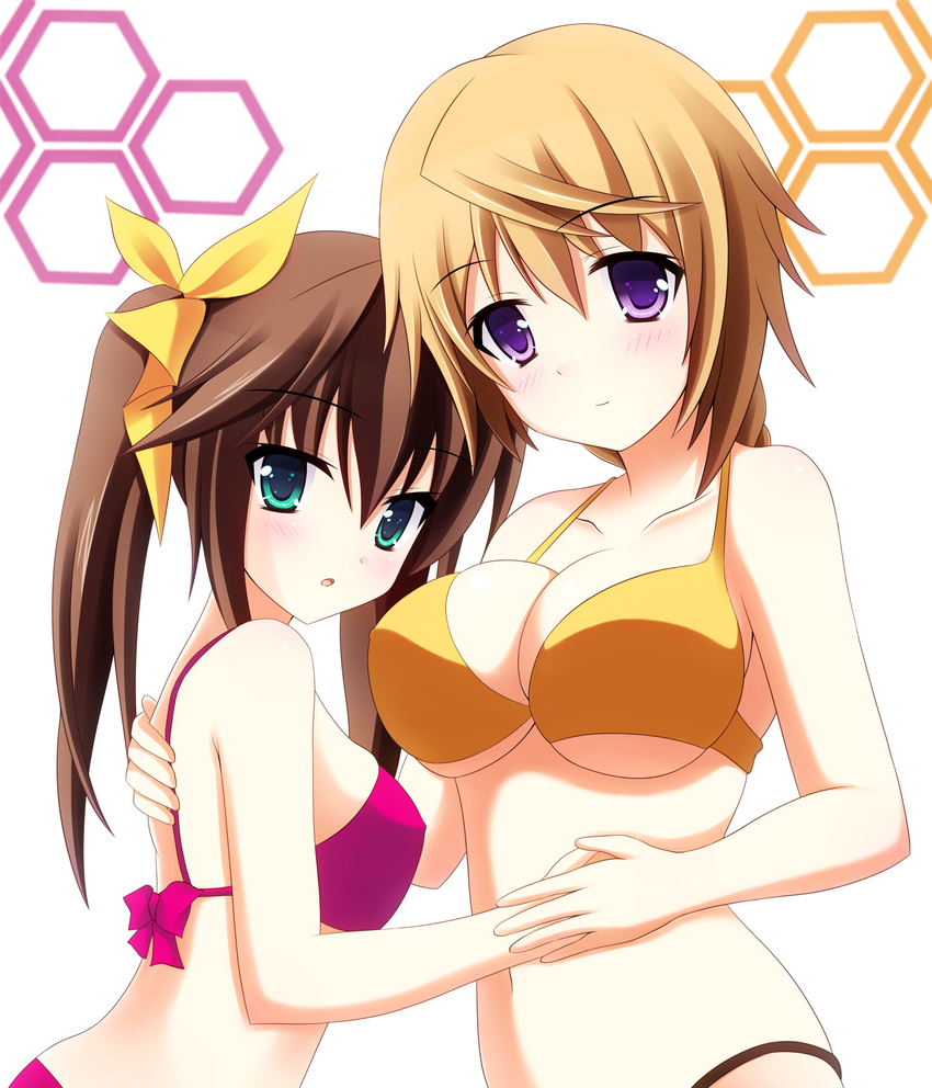 2girls absurdres bikini blonde_hair braid brown_hair charlotte_dunois commentary_request green_eyes highres huang_lingyin infinite_stratos karin_(rei862) long_hair multiple_girls purple_eyes swimsuit twintails