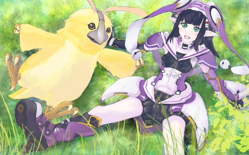 bad_id bad_pixiv_id bell bird black_hair bloomers blunt_bangs boots creature facepaint female grass green_eyes hat jingle_bell knee_boots long_hair looking_at_viewer n-jin nature phantasy_star phantasy_star_online_2 pointy_ears rappy rupika_(pso2) sailor_collar sitting skirt underwear wiola_magica