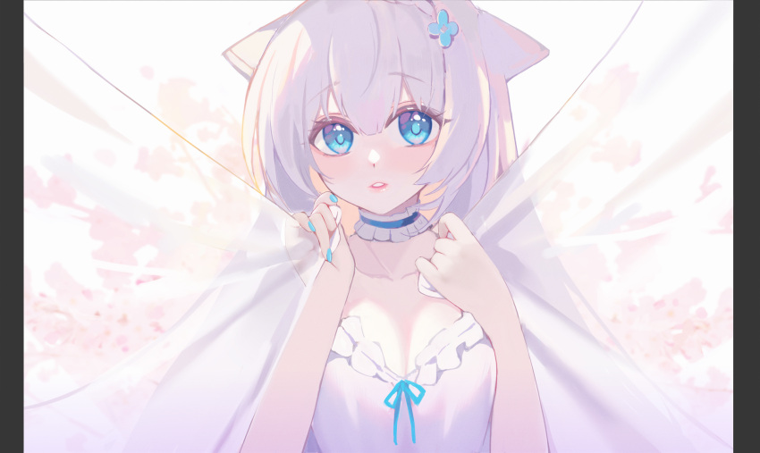 animal_ears blue_choker blue_eyes blue_flower blue_nails blue_ribbon choker claxton_(warship_girls_r) collarbone commentary_request curtain_grab curtains dress female flower frilled_choker frills hair_between_eyes hair_flower hair_ornament hands_up hasu_(velicia) highres looking_at_viewer nail_polish official_art parted_lips pillarboxed ribbon solo transparent upper_body warship_girls_r white_dress white_hair