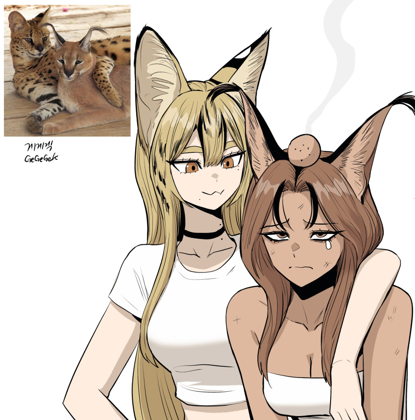 2024 aggressive_caracal_chan animal_ears animal_humanoid arm_around_shoulders artist_name bangs beaten_up black_highlights blonde_hair bodily_fluids brown_body brown_eyes brown_hair brown_skin caracal_humanoid cel_shading choker clothing duo felid felid_humanoid feline feline_humanoid female front_view furrowed_brow gegegekman hair head_bump hi_res highlights_(coloring) humanoid jewelry long_hair looking_at_another mammal mammal_humanoid necklace orange_eyes pale_skin reference_image serval_(gegegekman) serval_humanoid shaded shirt side_bangs simple_background smoke t-shirt tears topwear tube_top white_background white_clothing white_shirt white_t-shirt white_topwear white_tube_top