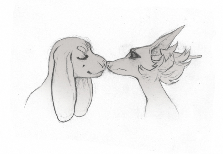 anthro canid canine canis domestic_dog duo fluffy graphite_(artwork) greyscale imminent_kiss kalpeakoira long_ears machete_(kalpeakoira) male male/male mammal monochrome pencil_(artwork) romantic traditional_media_(artwork) vasco_(kalpeakoira)