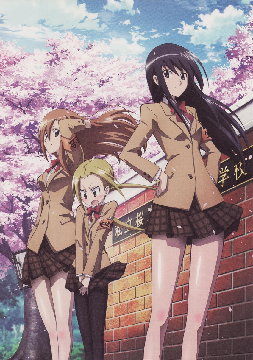 amakusa_shino cherry_blossoms hagimura_suzu school_uniform seitokai_yakuindomo shichijou_aria