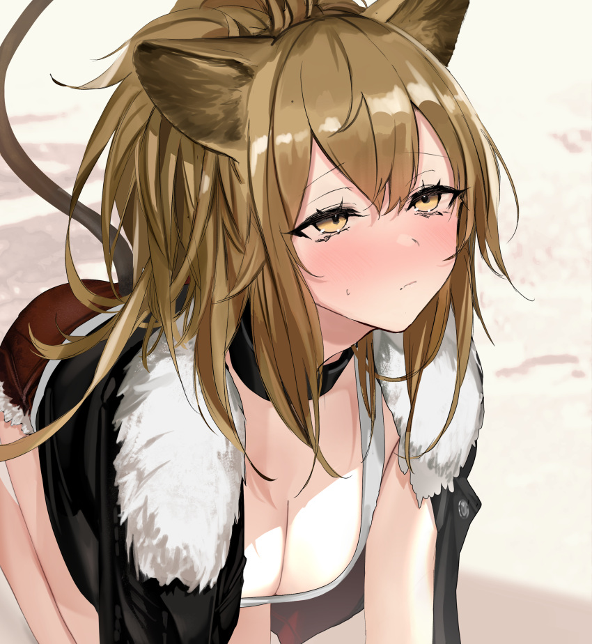 absurdres all_fours animal_ears arknights black_choker black_jacket blush breasts brown_hair choker cleavage closed_mouth commentary eyelashes feet_out_of_frame female fur-trimmed_jacket fur-trimmed_shorts fur_trim hair_between_eyes half-closed_eyes highres jacket lion_ears lion_girl lion_tail long_hair medium_breasts neko_no_youchuu open_clothes open_jacket ponytail red_shorts short_shorts shorts siege_(arknights) solo sweatdrop tail tank_top white_tank_top yellow_eyes