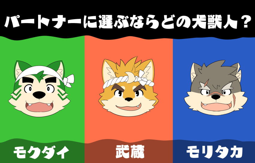 absurd_res accessory amidasuke anthro bandana canid canine canis crossover domestic_dog eyebrows fur green_body green_fur grey_body grey_fur group headband hi_res japanese_text kerchief lifewonders live_a_hero male mammal mokdai moritaka_(tas) musashi_(tamacolle) nintendo orange_body orange_fur scar splatfest splatoon tamacolle text thick_eyebrows tokyo_afterschool_summoners trio