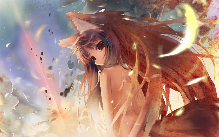 horo spice_and_wolf tagme wolfgirl