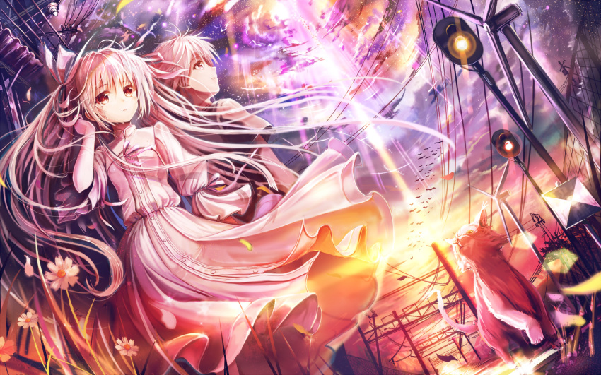 1boy akabane_(zebrasmise) bird brother_and_sister brown_eyes cloud dress dutch_angle feline female flower hair_ribbon hair_tucking highres kasugano_haruka kasugano_sora lamp long_hair power_lines ribbon short_hair siblings silver_hair sky star_(sky) sunlight tears twins wallpaper white_dress yosuga_no_sora