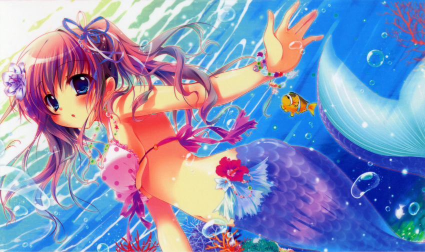 air_bubble bikini bikini_top_only blue_eyes bracelet bubble clownfish copyright_request coral coral_reef female fish flower hair_flower hair_ornament highres izumi_tsubasu jewelry mermaid monster_girl multicolored_hair pink_hair polka_dot polka_dot_bikini polka_dot_swimsuit purple_hair swimsuit tropical_fish underwater