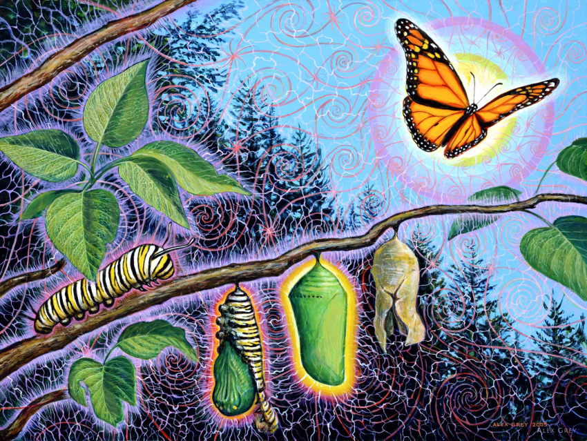 2005 age_progression alex_grey ambiguous_gender antennae_(anatomy) arthropod artist_name branch butterfly caterpillar chrysalis day feral flying forest formal_art glowing glowing_body hi_res insect_wings insects larva leaf lepidopteran monarch_butterfly outside painting_(artwork) plant sky solo tree walking watermark wings