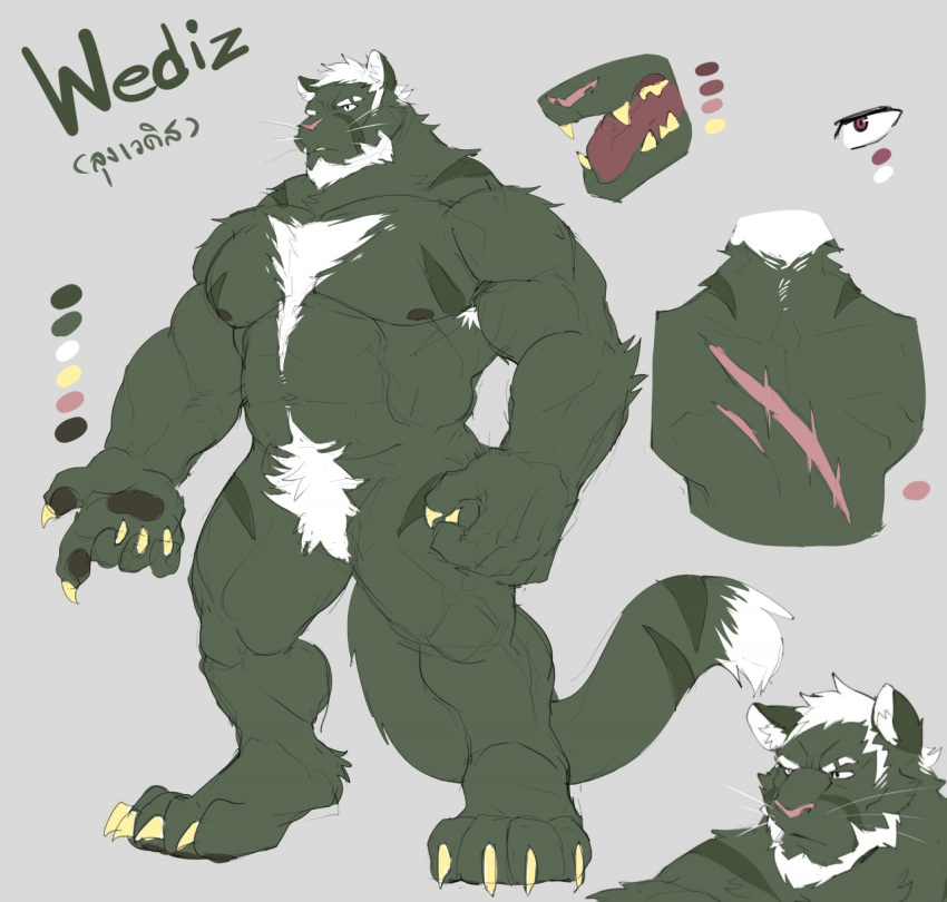 anthro back_scar biceps claws felid fur hi_res male mammal model_sheet muscular muscular_anthro muscular_male nipples pantherine pawpads paws pecs scar sollyz tail wediz_(sollyz)