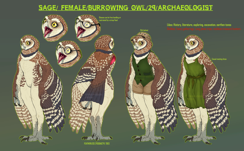 4_toes absurd_res anthro armor athene_(genus) avian avian-king beak biped bird bottomwear brown_body brown_feathers burrowing_owl button_(fastener) clothed clothing dress english_text eyelashes eyewear feathers feet female flat_chested glasses hat headgear headwear helmet hi_res markings model_sheet nude open_mouth owl pith_helmet pockets pupils shorts solo spots spotted_markings standing tail tail_feathers talons text toes tongue topwear true_owl vest white_body white_feathers winged_arms wings yellow_eyes zygodactyl