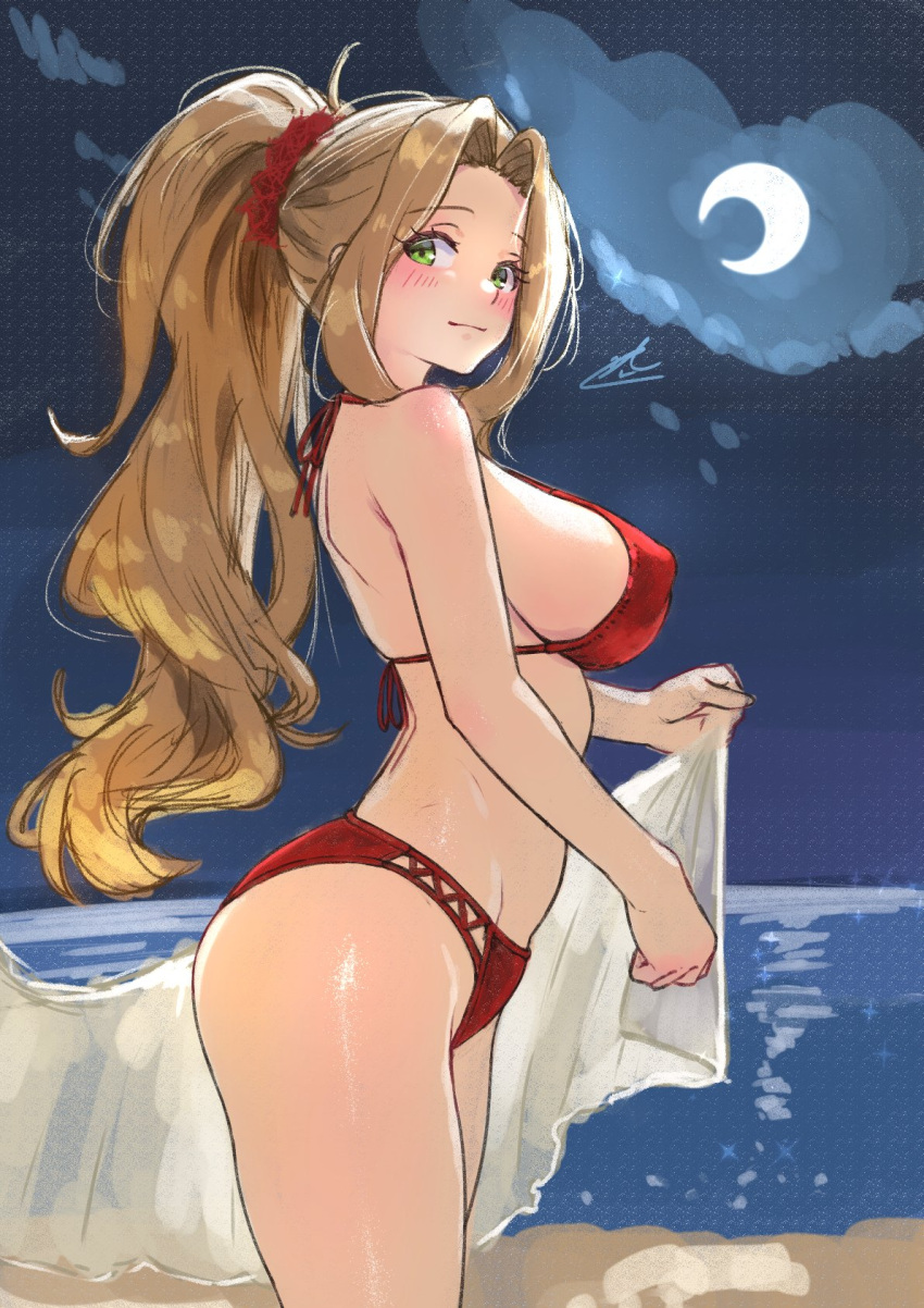 bare_shoulders beach bikini blush breasts brown_hair c_(theta) closed_mouth cloud cloudy_sky covered_nipples cowboy_shot crescent_moon curtained_hair eyelashes female from_side green_eyes groin high_ponytail highres idolmaster idolmaster_million_live! idolmaster_million_live!_theater_days large_breasts long_hair looking_at_viewer moon night night_sky nikaidou_chizuru ocean red_bikini sidelocks signature sky solo standing swimsuit very_long_hair wavy_hair