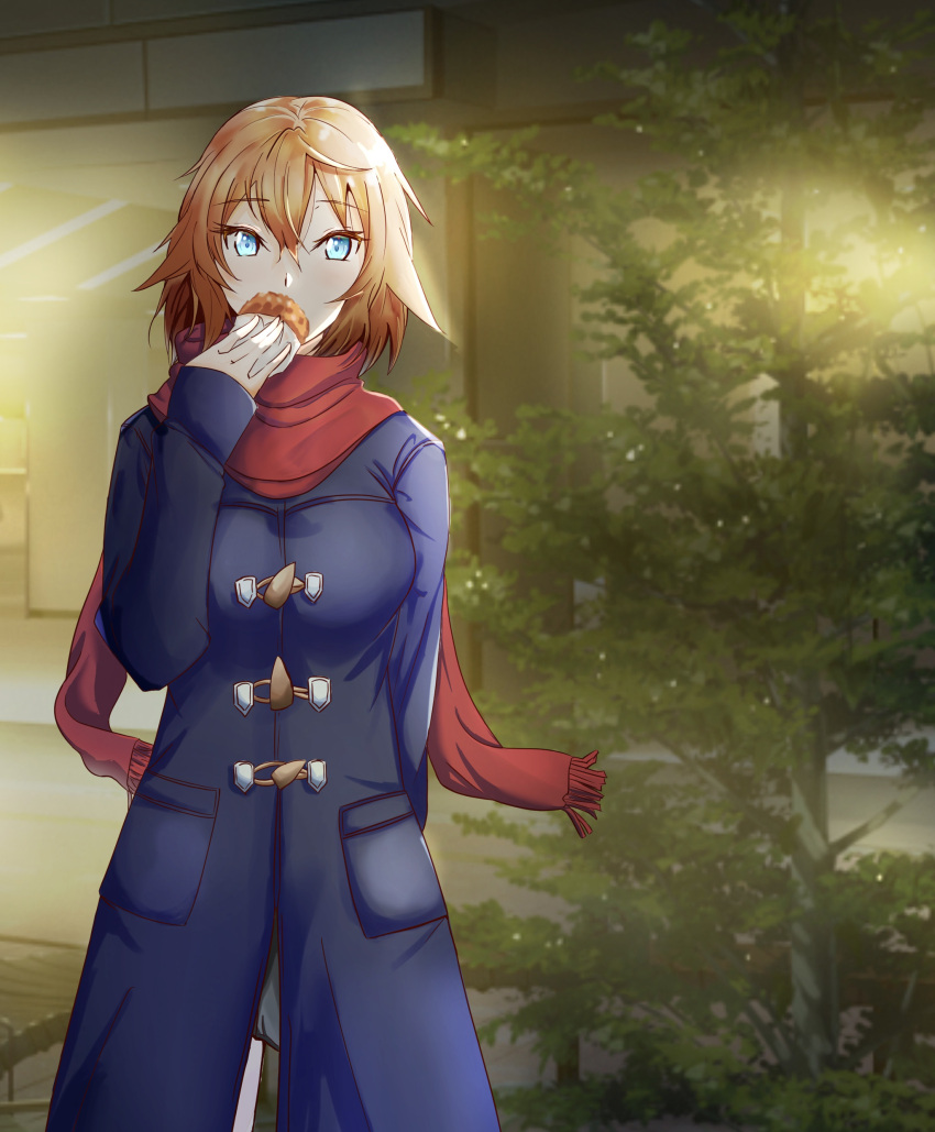 absurdres alternate_costume arm_behind_back blonde_hair blue_eyes covering_own_mouth croquette female hair_between_eyes highres light_blush looking_at_viewer night philia_(sao) red_scarf scarf segina04 solo sword_art_online winter winter_clothes