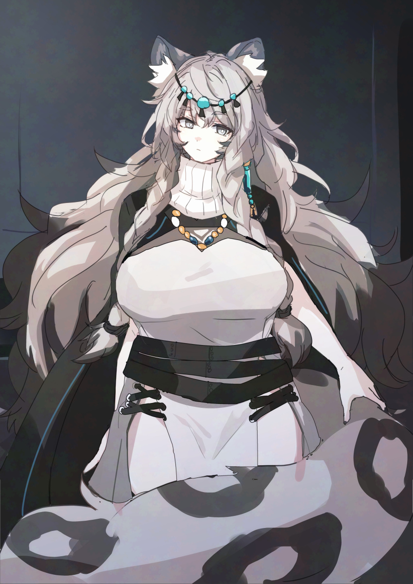 absurdres animal_ear_fluff arknights bead_necklace beads belt black_belt black_cloak braid breasts circlet cloak closed_mouth commentary dress expressionless feet_out_of_frame female grey_eyes grey_hair highres jewelry large_breasts large_tail long_hair looking_at_viewer low_twin_braids necklace pelvic_curtain pramanix_(arknights) snow_leopard_ears snow_leopard_girl snow_leopard_tail solo spotted_tail standing tail thick_eyebrows turtleneck turtleneck_dress twin_braids very_long_hair yu-ves