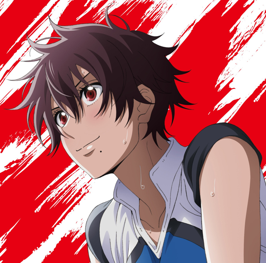 aragaki_nagisa disc_cover hanebado! tagme