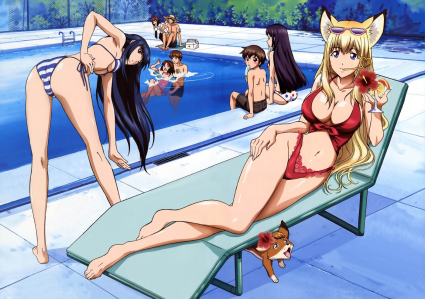 bikini ebisu momiji_miyabe pool sakura_misaki swimsuit takagami_noboru takagami_touru tenko_kuugen wagaya_no_oinari-sama