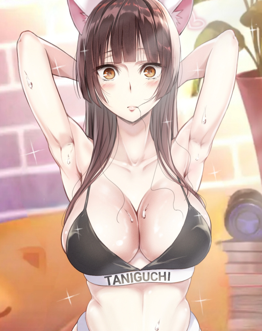 animal_ears bad_id bad_pixiv_id black_bra blush bra breasts brown_hair cat_ears citrus_(saburouta) cleavage female flying_sweatdrops gangshangguang_(smjy5842) highres indoors large_breasts long_hair looking_at_viewer navel solo sparkling_sweat sweat sweatdrop taniguchi_harumi underwear underwear_only underwear_writing very_sweaty