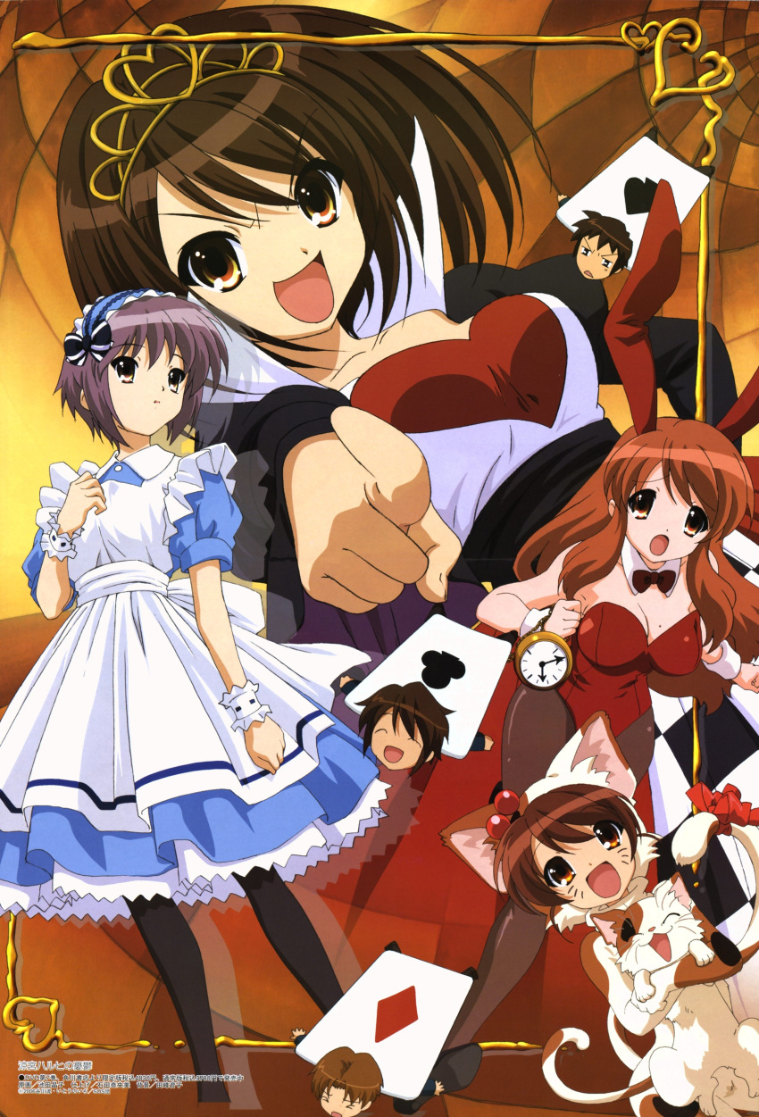 absurdres alice_in_wonderland animal_ears asahina_mikuru brown_hair card cards cat_ears cosplay crossover dress feline haruhi highres imouto kyon kyon_no_imouto kyons_little_sister long_hair mikuru_asahina nagato_yuki nagato_yuki nekomimi purple_hair short_hair suzumiya_haruhi suzumiya_haruhi suzumiya_haruhi_no_yuuutsu