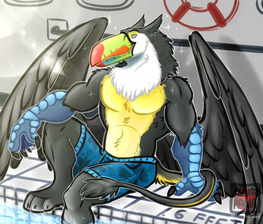 anthro avian beak bird clothing feather_ear feathers gryphon male muscular mythological_avian mythological_creature mythology paws smile solo summer sun_glare swimming_pool swimwear tail talon_hands toucan wings yamatopawa