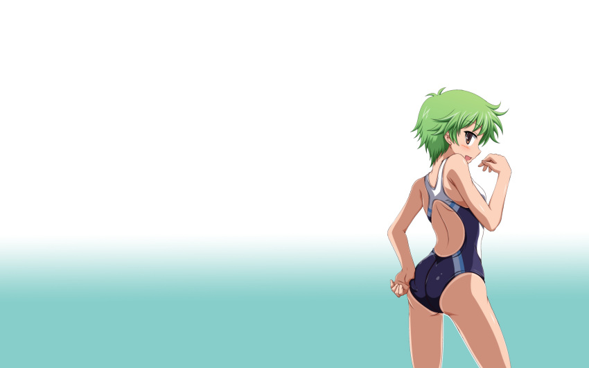 baka_to_test_to_shoukanjuu blush brown_eyes green_hair kudou_aiko oerba_yun_fang short_hair swimsuit vfenster