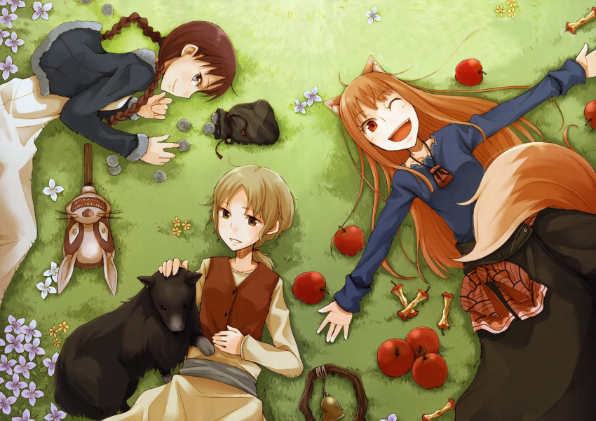 3girls animal_ears apple ayakura_juu blonde_hair border_collie braid brown_hair canine chloe_(spice_and_wolf) circle_formation coin enekk flower food fruit grass highres holo long_hair lying multiple_girls nora_arento official_art one_eye_closed ponytail pouch red_eyes skirt spice_and_wolf tail vest wolf_ears wolf_girl wolf_tail