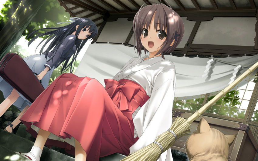 2girls amatsume_akira antenna_hair black_eyes black_hair broom brown_eyes brown_hair dress dutch_angle feline hair_ornament hair_ribbon hashimoto_takashi highres instrument_case japanese_clothes long_hair looking_at_viewer migiwa_kazuha miko multiple_girls photoshop_(medium) ribbon short_hair smile tabi yosuga_no_sora