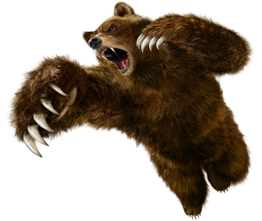 bear claws fur highres kuma_(tekken) namco no_humans official_art tekken