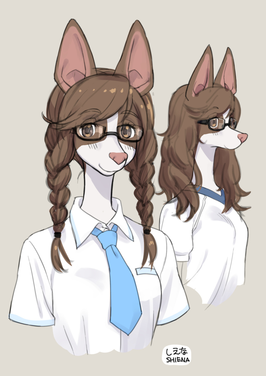 2024 anthro athletic_wear braided_hair braided_pigtails breasts brown_body brown_fur brown_hair canid canine canis clothed clothed_anthro clothed_female clothing digital_media_(artwork) domestic_dog eyewear female female_anthro fur glasses gym_uniform hair hi_res ibigawa_shiena inukoro_(kikurage) japanese_text kemono kikurage long_hair looking_at_viewer mammal multicolored_body multicolored_fur multiple_images pink_nose portrait school_uniform small_breasts solo text twintails two_tone_body two_tone_fur uniform wearing_glasses white_body white_fur